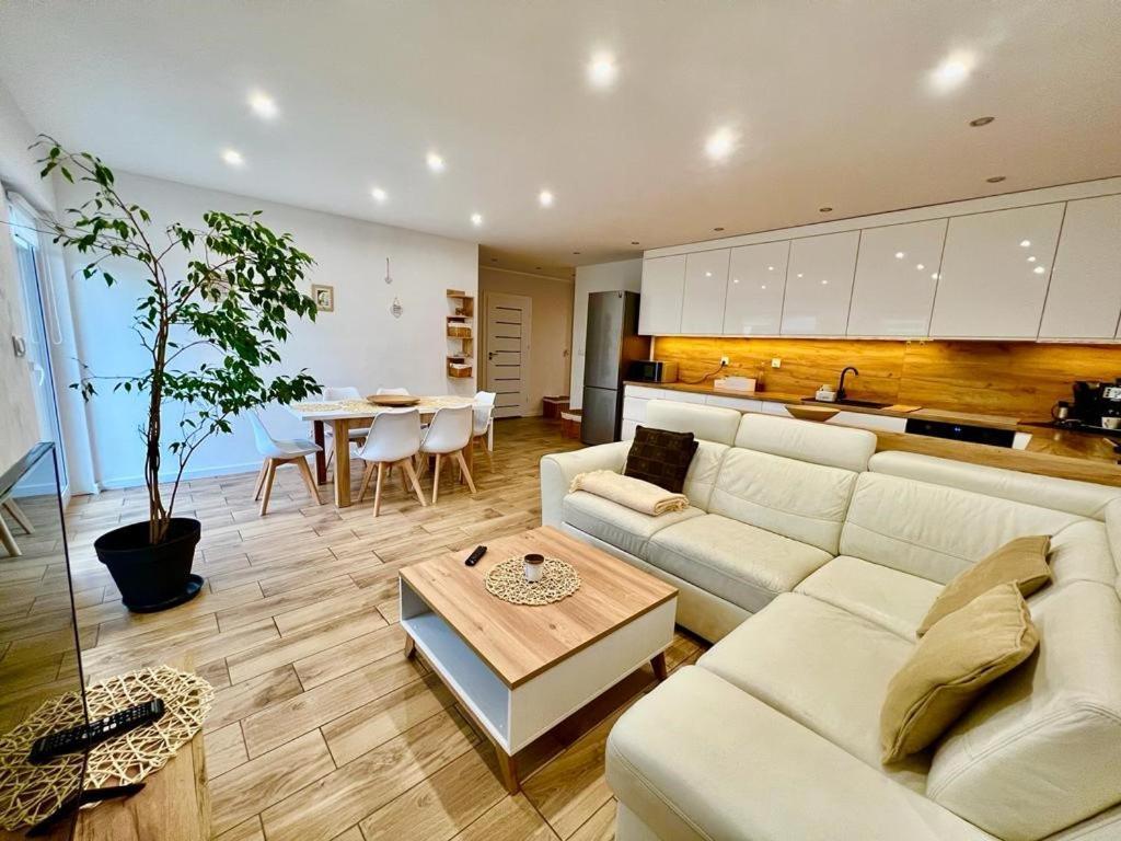 Apartament Przy Kopalni Srebra Tarnowskie Góry Esterno foto